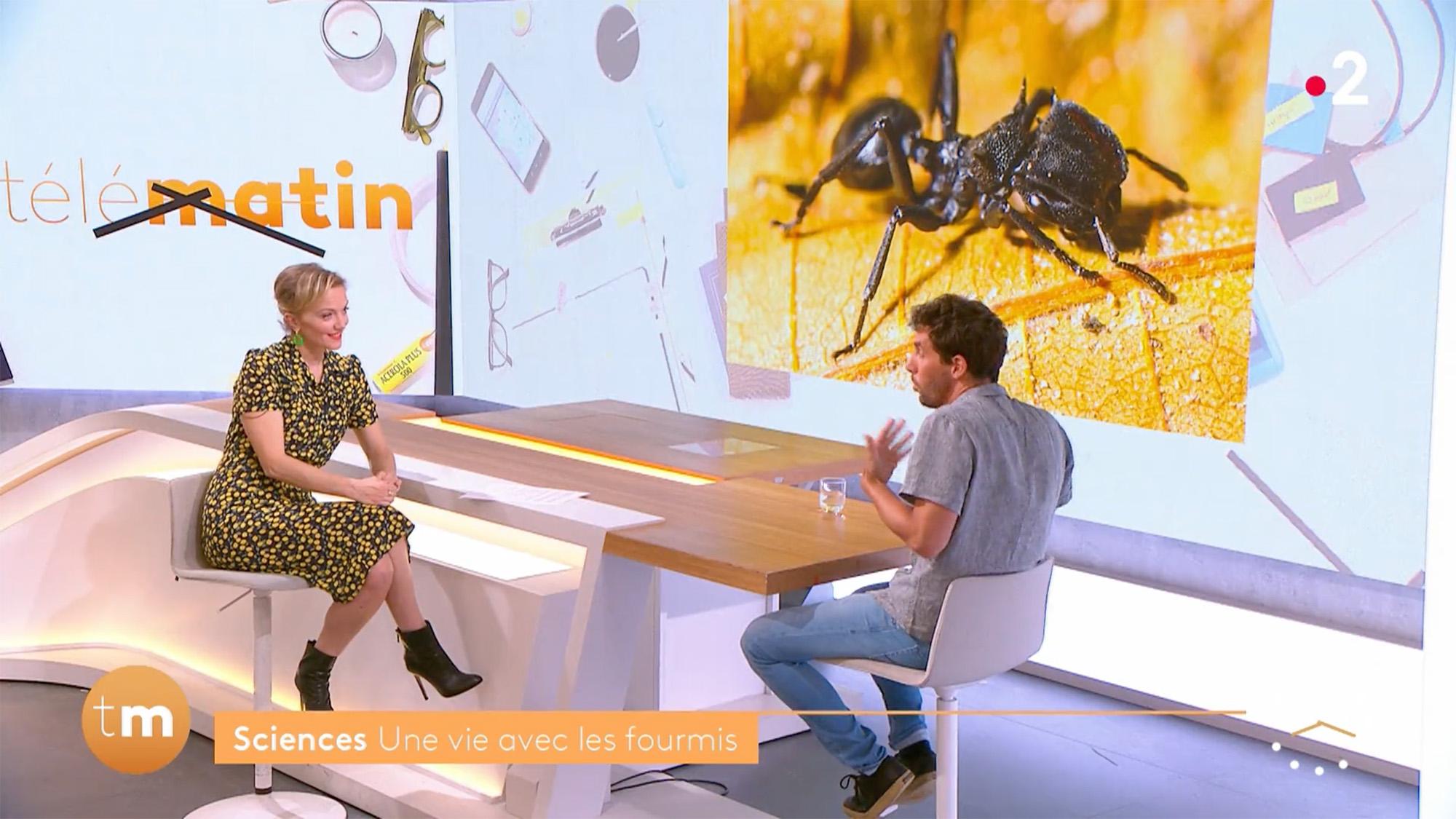 Maya Lauqué Télématin